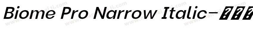 Biome Pro Narrow Italic字体转换
